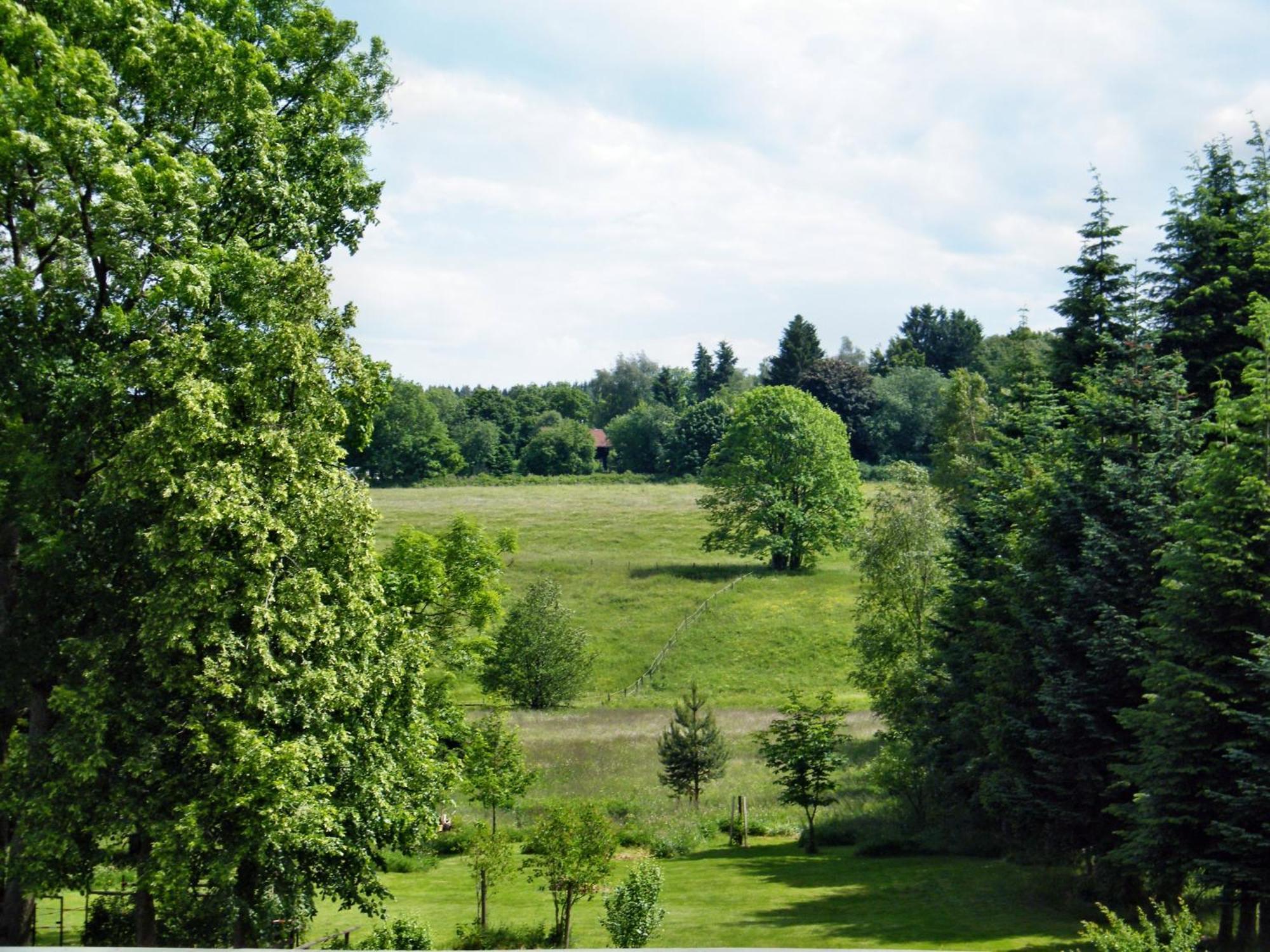 Lejlighed Carmen-braunlage Braunlage